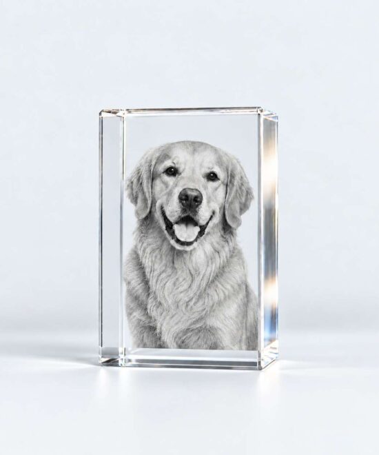 3D Crystal Inner Engraved